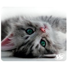 Коврик для компьютерной мыши "Cat", VS-B4649, 3 шт