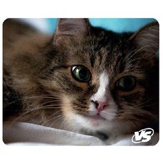 Коврик для компьютерной мыши "Cat", VS-B4648, 3 шт