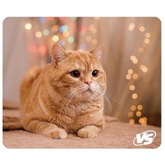 Коврик для компьютерной мыши "Cat", VS-B4652, 3 шт