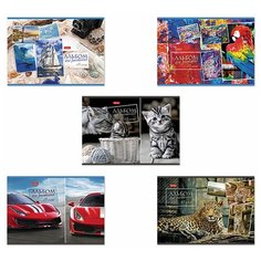 Альбом для рисования А4 48 л., скоба, обложка картон, HATBER, 205х290 мм, Ассорти, 48А4В