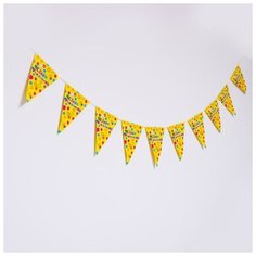 Гирлянда "С днем рождения", 10 флажков Страна Карнавалия