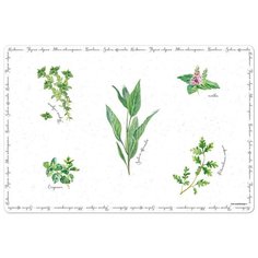 Пластиковая салфетка под горячее Herbarium 45х30 см, цвет белый, Easy Life, EL-R0550_HERU