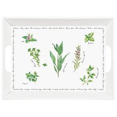 Пластиковый поднос с ручками Herbarium 51х38 см, цвет белый, Easy Life, EL-R0347_HERU