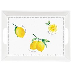 Пластиковый поднос с ручками Amalfi 51х38 см, цвет белый, Easy Life, EL-R0347_AMAL