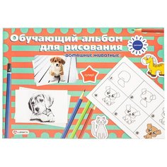 LAMARK28411 Альбом для рисования Обучающий 24л. на склейке Домашние животные, 100г/м
