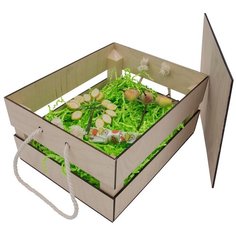 НА-026 Набор для оформления подарка Фруктовый, ящик 25*20 см, белый Astra & Craft