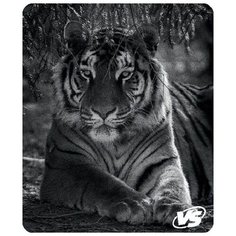Коврик VS Фауна Тигр VS_B4637