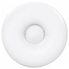Светильник Xiaomi Philips Smart LED Ceiling Lamp