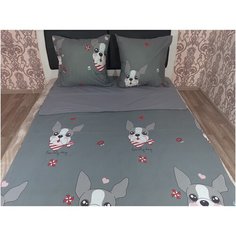 Детское постельное белье поплин IM0653 1,5 спальное детские расцветки Iv Selena