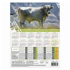 Календарь-табель 2021 год с рабочими и выходными днями, А4 (195х225 мм), "Символ года белый БЫК", ТК-1, 152 шт. Foliant