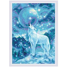 AM0042 Набор алмазной мозаики Риолис Ледяной ветер 27*38см