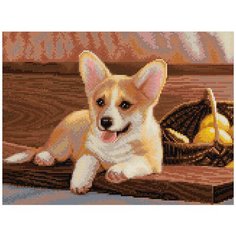 Алмазная мозаика "ФРЕЯ" Вельш-Корги 30x40 см