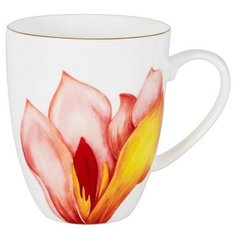 Кружка Magnolia 400 мл в подарочной упаковке, костяной фарфор, Anna Lafarg Emily, AL-705M-E11