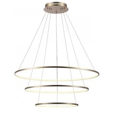 Подвесная люстра Aployt Lunet APL.014.03.100