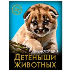 Энциклопедия. Хочу знать. Детёныши животных Проф Пресс