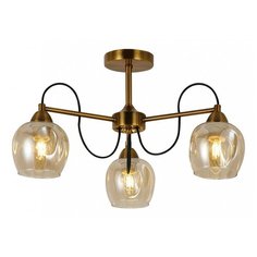 Люстра на штанге EVOLUCE Acro SLE110002-03