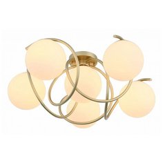 Потолочная люстра EVOLUCE Acini SL711.202.06