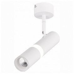 Спот ST-Luce Escopio ST106.542.08