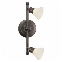 Спот Eglo ПРОМО Alamo 89058