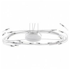 Подвесная люстра Lightstar Ovale 784346