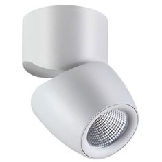 Спот Novotech Zeus 357868