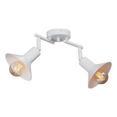 Спот Vitaluce V4808 V4808-0/2PL