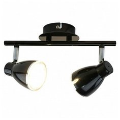Спот Arte Lamp Gioved A6008PL-2BK