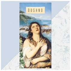 Полотенце "Dushno" 70х146 см, 100% хлопок 160гр/м2 5472916 Этель