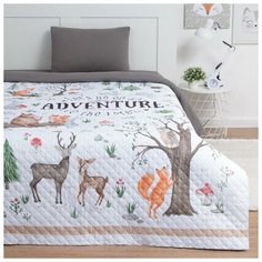 Покрывало "Этель" 2 сп Adventure, 180*220 см, микрофибра 5367890