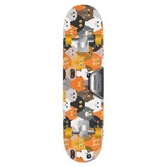Скейт Atemi ASB31D01