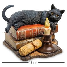 Статуэтка Кот на книгах (Лиза Паркер) WS-843 113-904541 Veronese