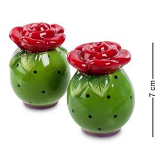 Набор соль-перец Цветы CMS-01/23 113-103331 Pavone