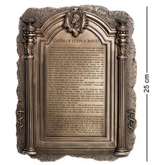 Статуэтка Клятва Гиппократа WS-1020 113-906343 Veronese