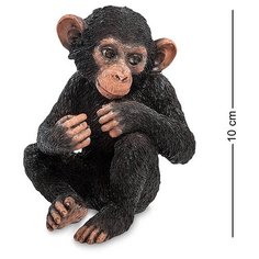 Статуэтка Детеныш шимпанзе WS-767 113-903513 Veronese