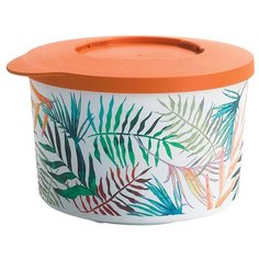 Tupperware Контейнер Иллюмина Тропикана 0.8 л, 13x13 см, разноцветный