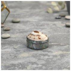 Шкатулка "Унавий" 5х4х3 см ракушка 5013846 Сима ленд