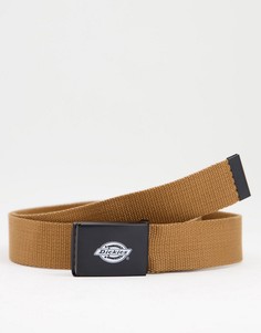 Коричневый ремень Dickies Orcutt-Коричневый цвет