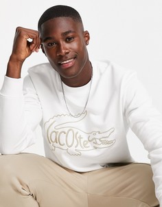 Белый свитшот с круглым вырезом и надписью внутри крокодила Lacoste