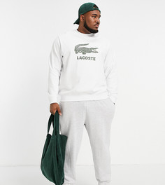 Белый свитшот с круглым вырезом и логотипом с крокодилом Lacoste