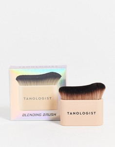 Кисть кабуки в коробочке Tanologist-Бесцветный