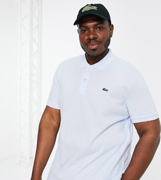 Зауженное поло из пике светло-голубого цвета Lacoste Plus-Голубой