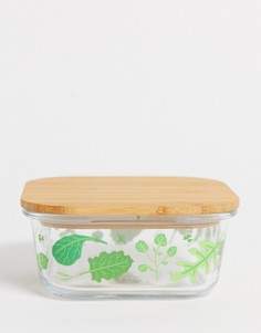Небольшой стеклянный контейнер с принтом растений Sass & Belle-Зеленый цвет