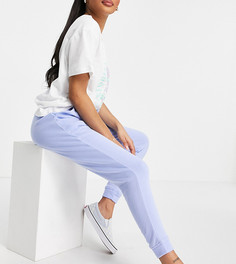 Светло-голубые джоггеры Miss Selfridge Petite-Голубой