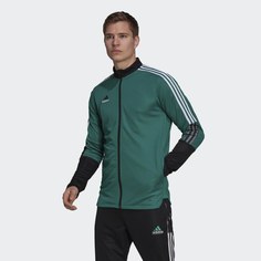 Олимпийка adidas Equipment Tiro