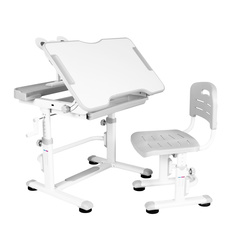 Комплект Anatomica Litra детская парта, стул, выдвижной ящик и подставка белый/серый