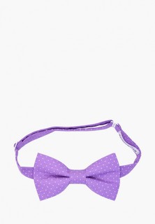 Бабочка Rainbowtie