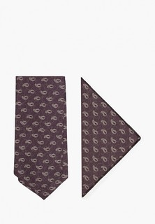 Галстук и платок Ir.Lush