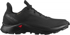 Кроссовки женские Salomon Alphacross 3 GTX W, размер 36.5