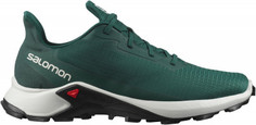 Кроссовки мужские Salomon Alphacross 3, размер 42.5