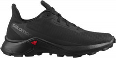 Кроссовки женские Salomon Alphacross 3 W, размер 40